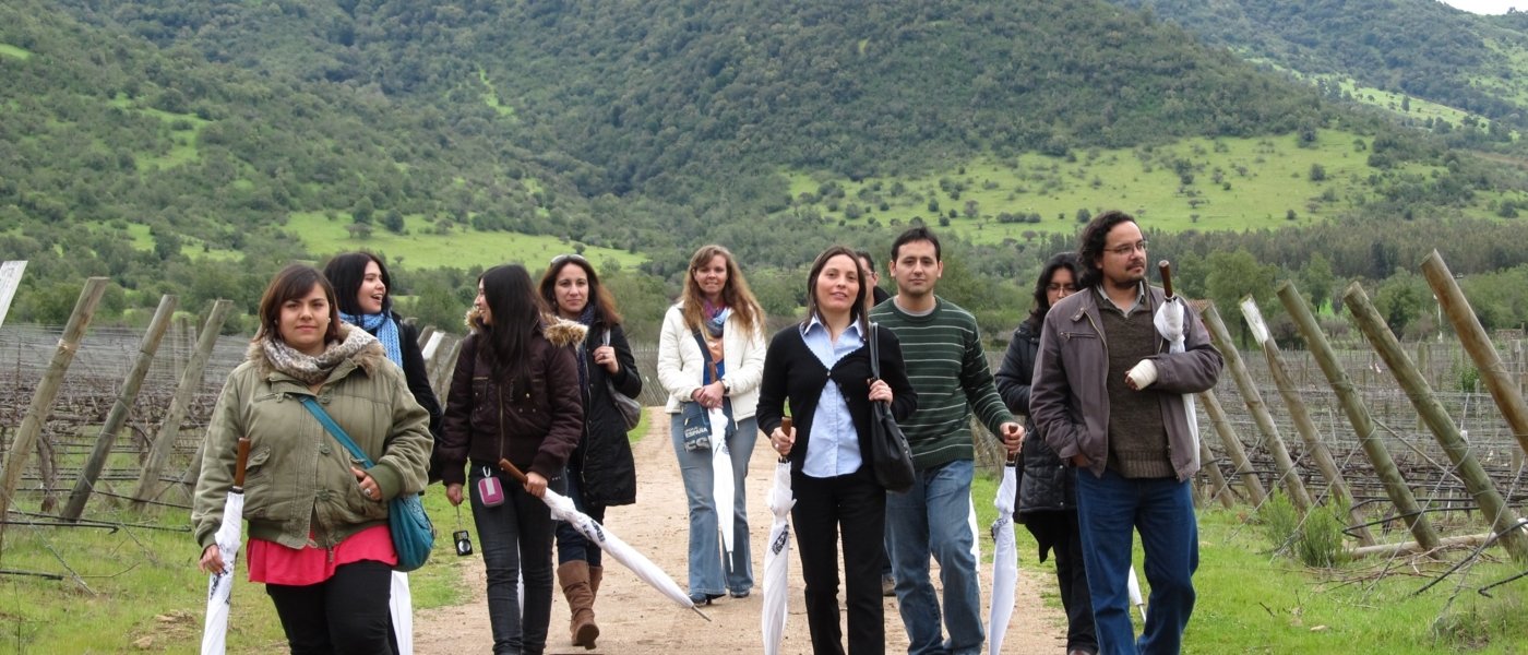 vineyards-tour-hacienda-araucano.jpg